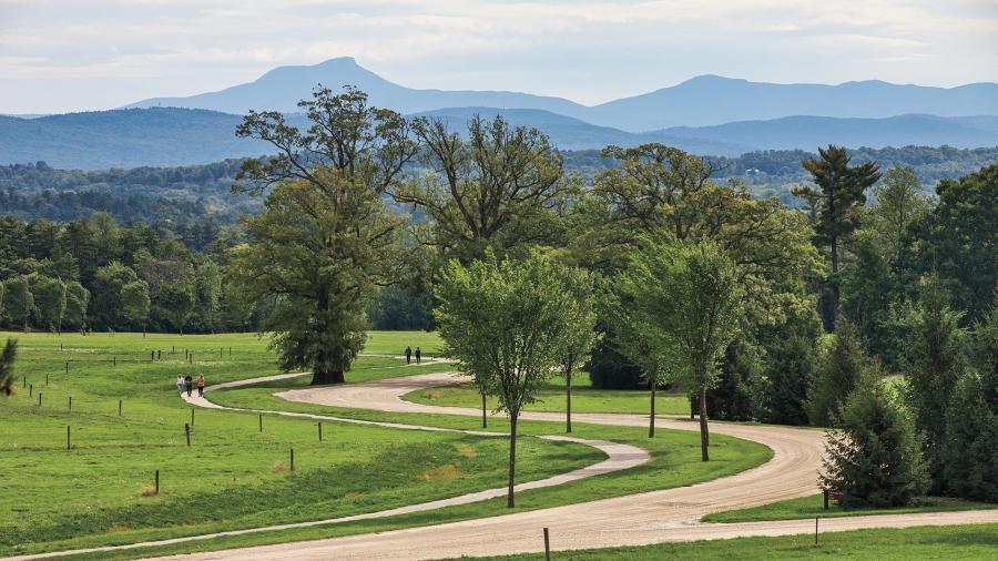 A view of the Shelburne Farm walking trails in spring.