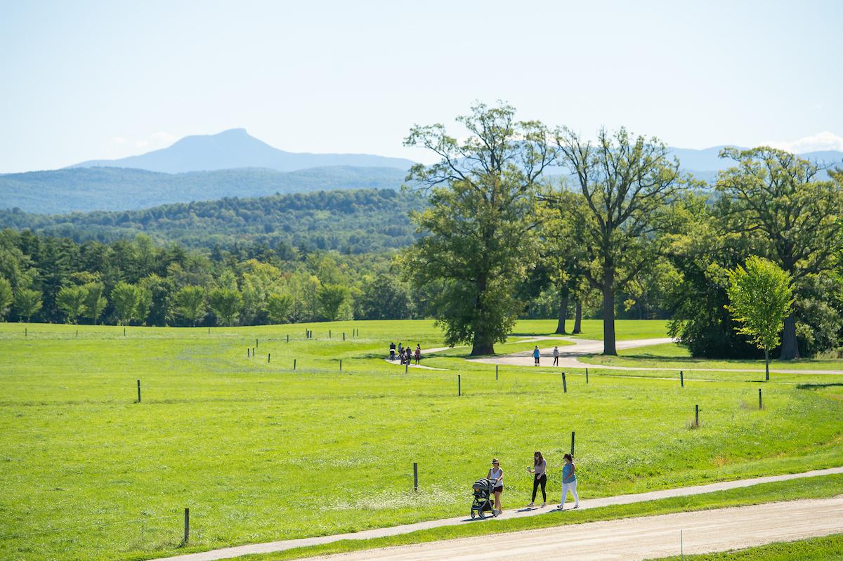 View of Camels Hump