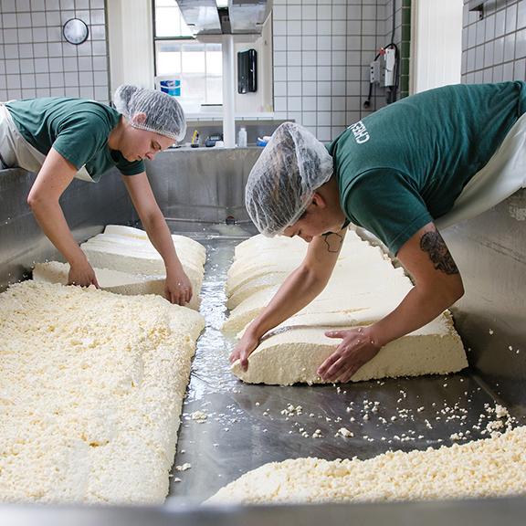 cheesemakers stacking cheddar slabs