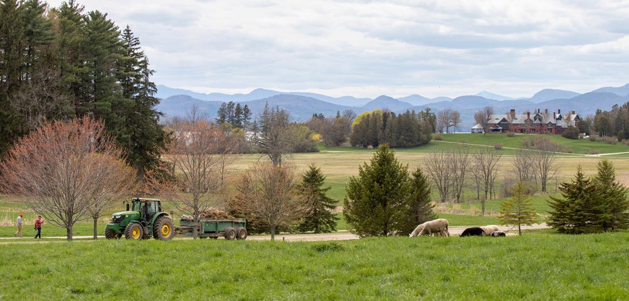 tractor, sheep, walkers, with inn and mountains in the distance