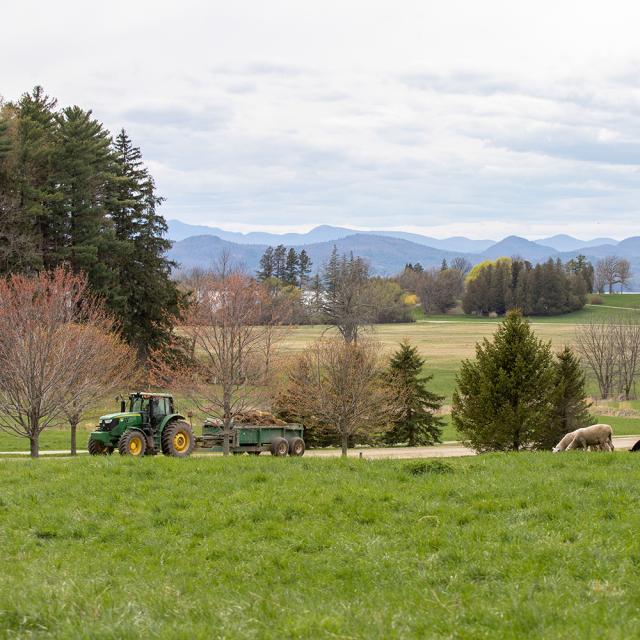 landscape with sheep, tractor, Adirondack mountains