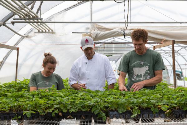 Gardener and Inn chef in greenhouse tending flats of strawberry plants 