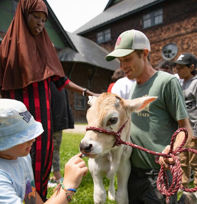 educator with calf, kids patting the calf