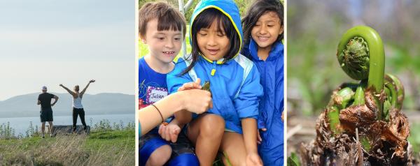 Three images: people at top of Lone Tree Hill, children looking at frog, fern fiddlehead