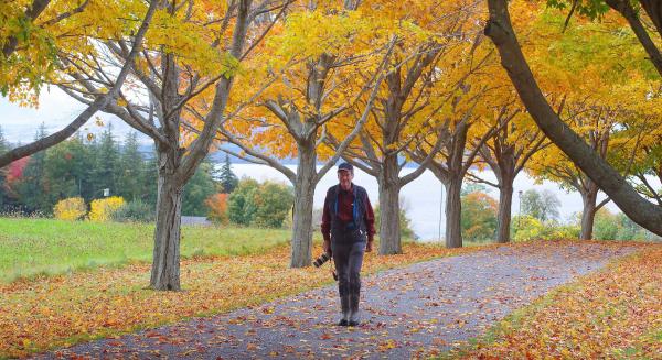 Marshall Webb with camera, walking down allee of trees