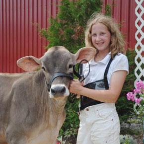 young girl holding a brown swiss calf by the halter