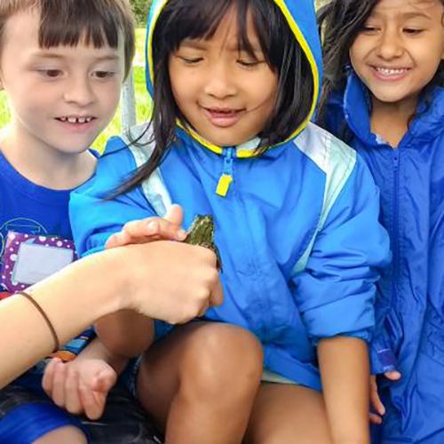 Three young children smile, looking at a frog outside