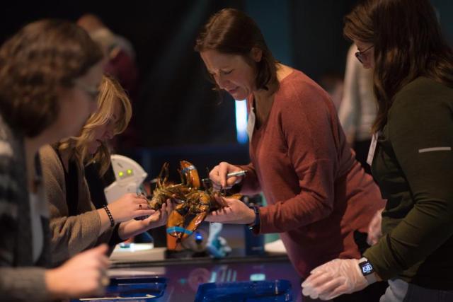 Participants in a LabVenture program in Portland, Maine