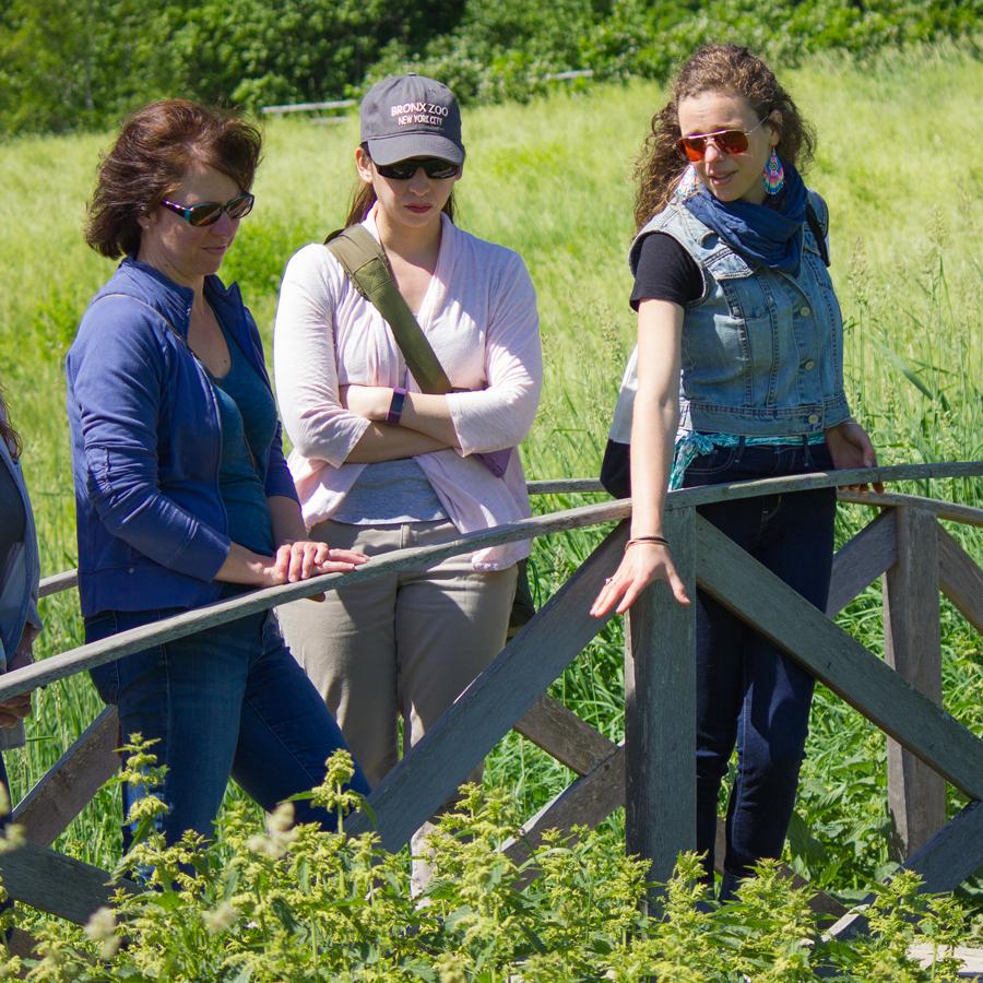 foraging with susan staley