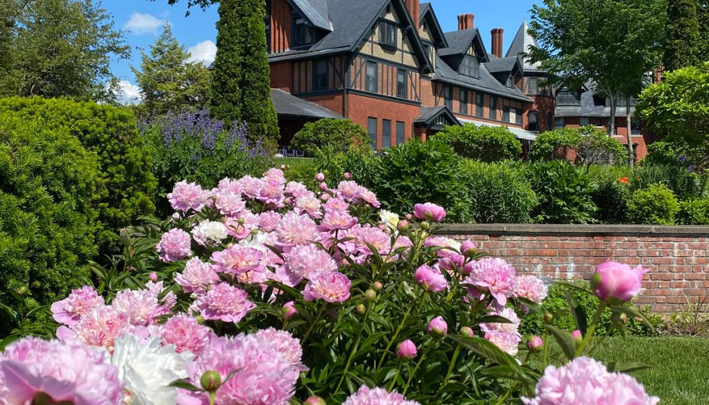The Shelburne Farms Inn seen from the flower gardens, pink peonies in the foreground.