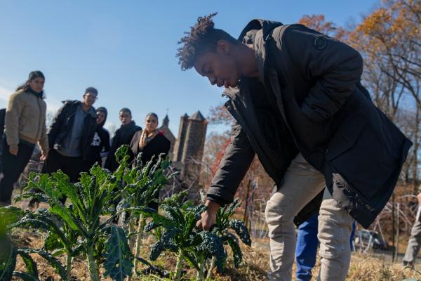 HSES students gardening. Photo sourced from New York Times, December 2019.