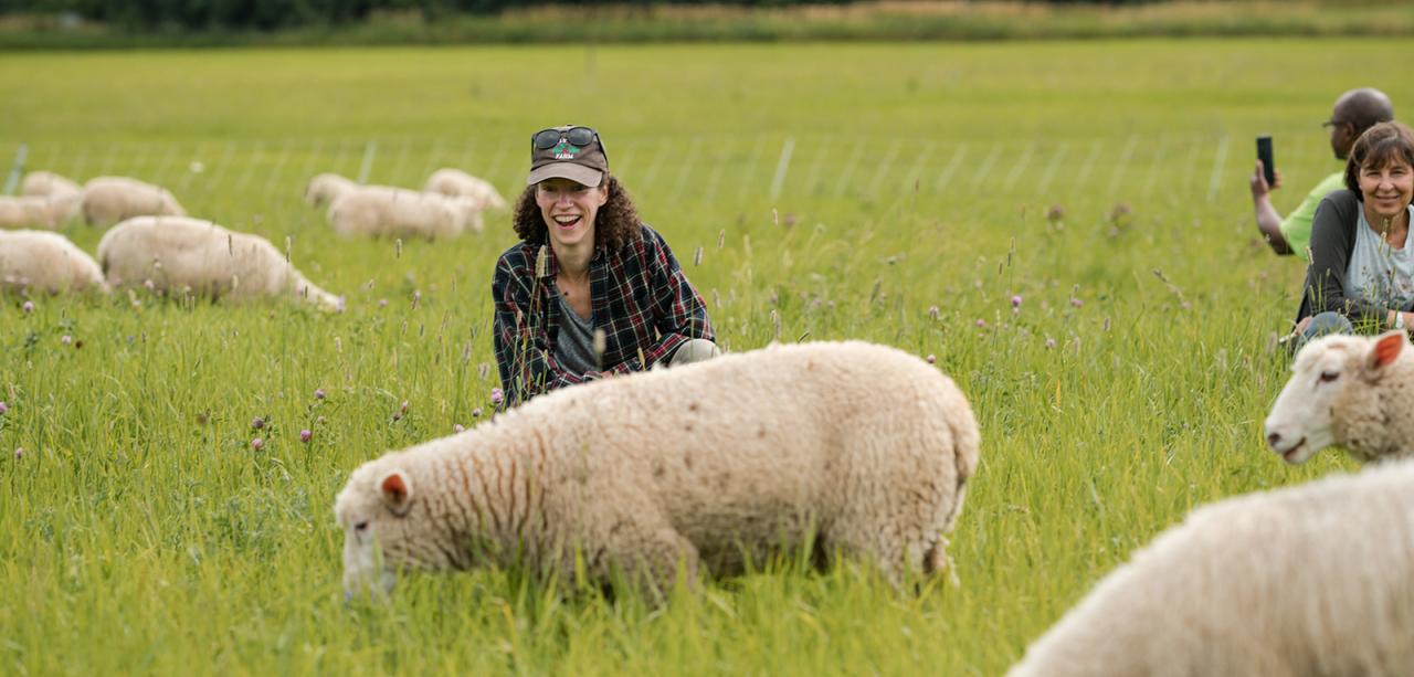 An exited woman in a field near a sheep