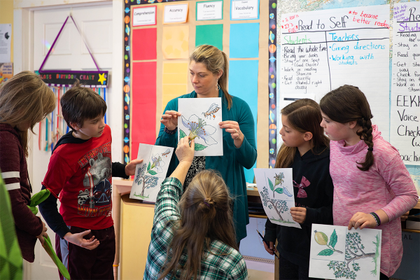 Third and fourth grade students discuss âinterdependenceâ by trying different kinds of local honey, learning about the role of honeybees, and putting pollination cycle cards in chronological order.